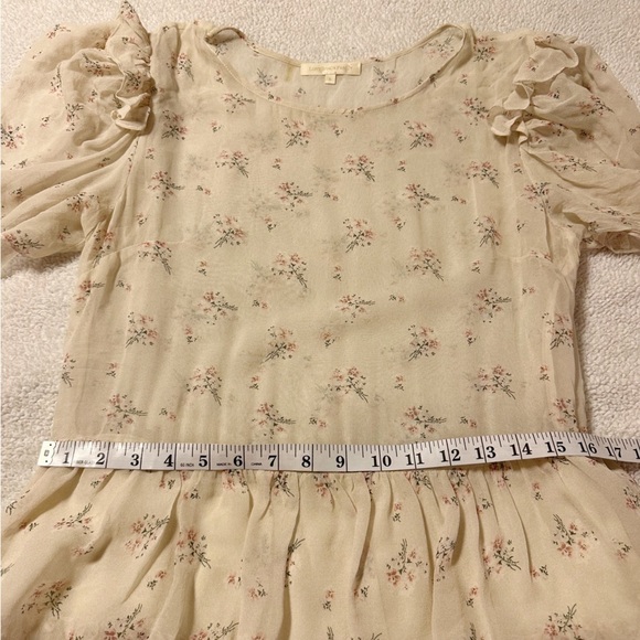 LoveShackFancy Cata Mini Dress Floral Sheer Ruffle Silk Sheer Shortbread - Picture 7 of 16
